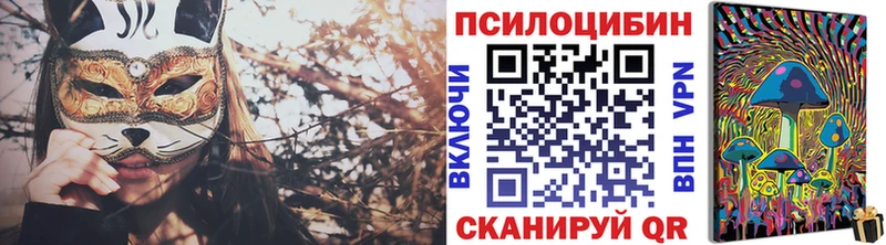 Купить закладки  Вилюйск  Псилоцибиновые грибы Psilocybe 